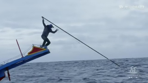 屏息！小伙拿鱼叉海上镖2米长旗鱼，过程惊心动魄
