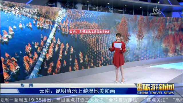 云南:昆明滇池上游湿地美如画