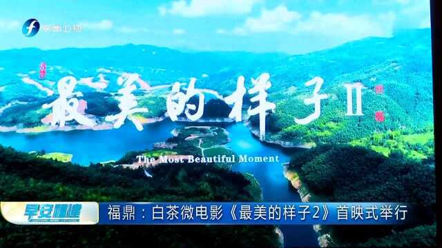 福鼎:白茶微电影《最美的样子2》首映式举行