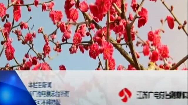 大美江苏 “新”花怒放