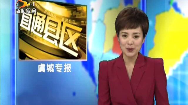 共青团虞城县第十三次代表大会召开