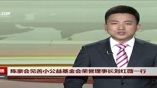 陈豪会见善小公益基金会荣誉理事长刘红薇一行