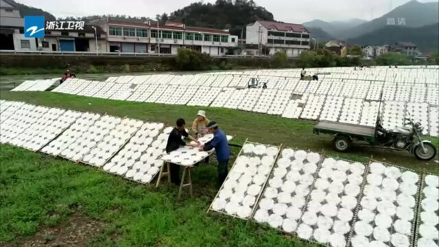 “三服务”解难题:嵊州小吃里的“大文章”(二) 统一标准 守住好味道