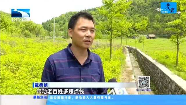 决胜脱贫攻坚 建始:种下“辣”产业 酿出甜生活