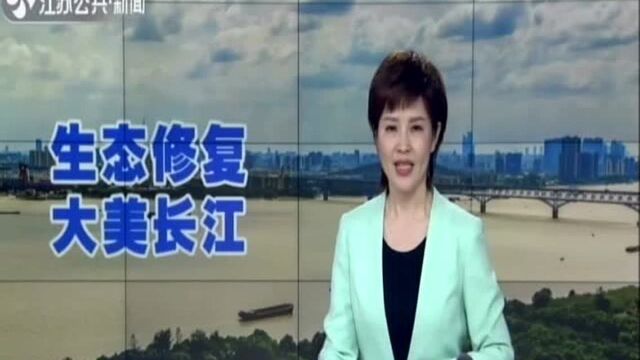 南通:为了一江清水澎湃东流——把长江保护融入城市发展脉搏