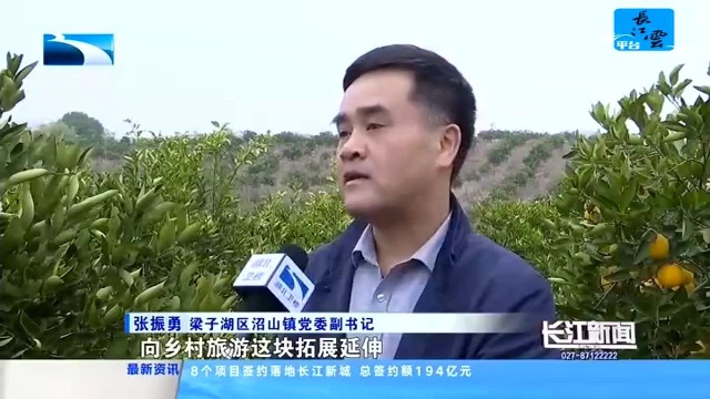 第八届梁子湖沼山胡柚采摘节开幕