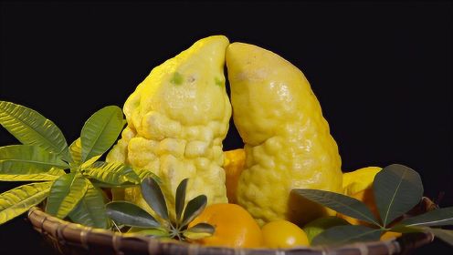 墨脱大柠檬是个小心眼，主要食用皮和肉之间的部分