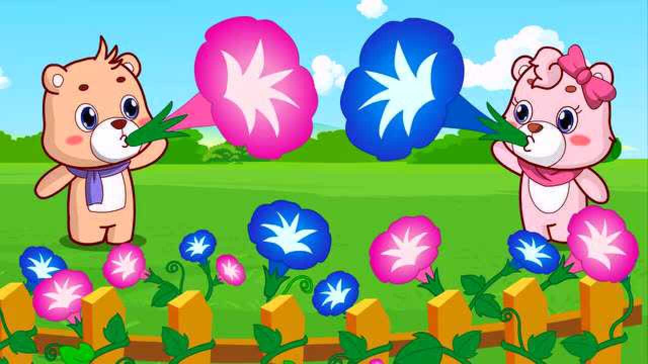 牵牛花