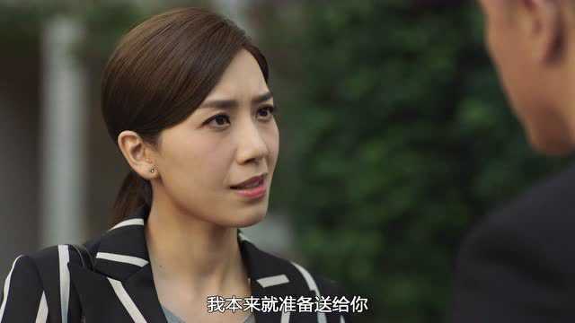 使徒行者3[普通话版] 24集