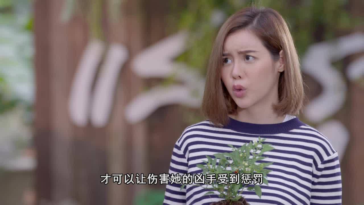 玫瑰奇缘恋与大明星[泰语版] 25集