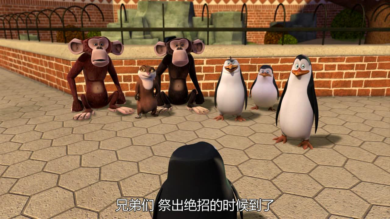 马达加斯加企鹅第一季 14集
