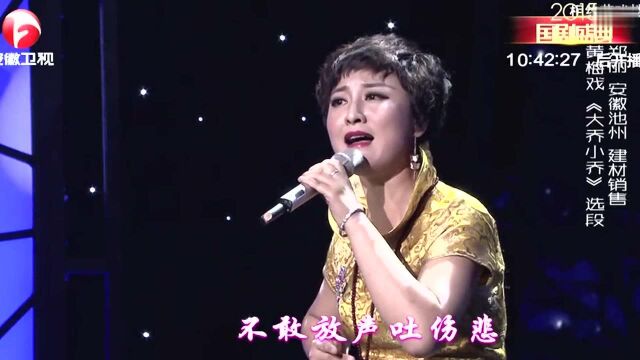 郑丽演唱黄梅戏大乔小乔