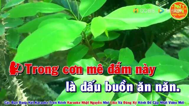 䂮 N䃮  Song Ca