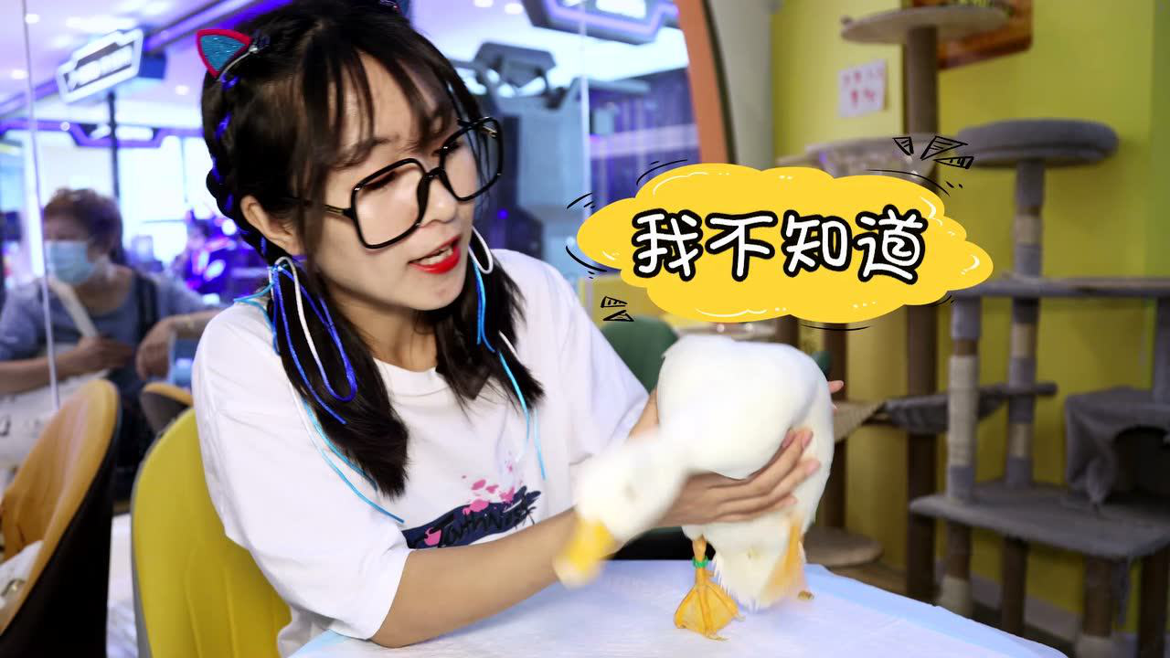 安迪乐园：安迪探寻记 16集