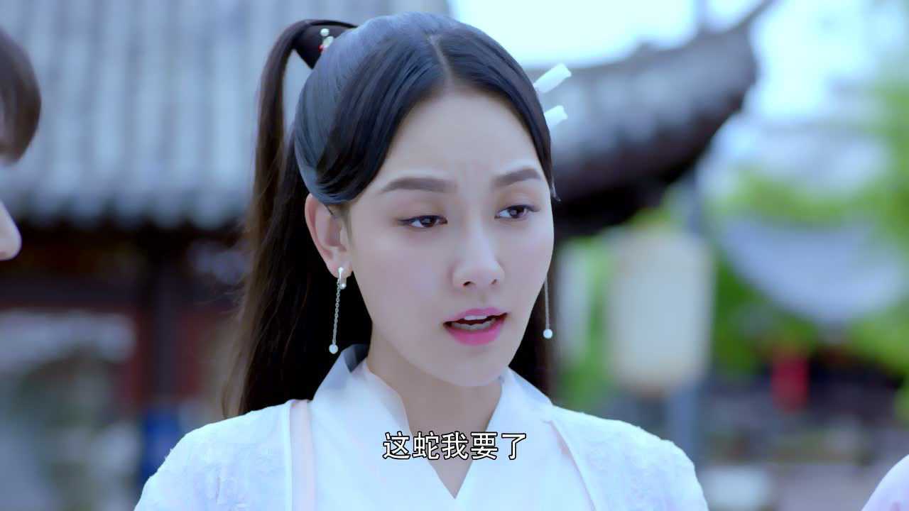 新白蛇传 2集
