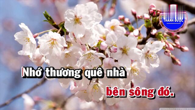 Ph氆ᮧ Xa Nhớ Mẹ  Song Ca