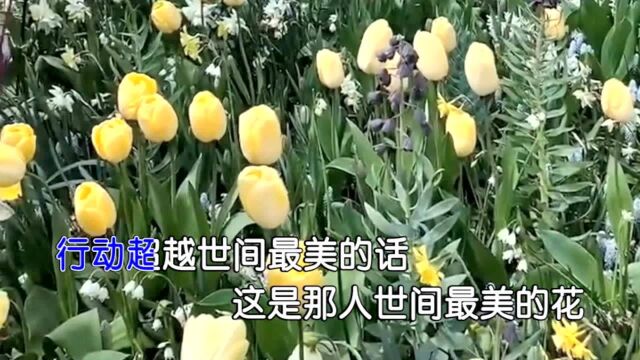 最美的花