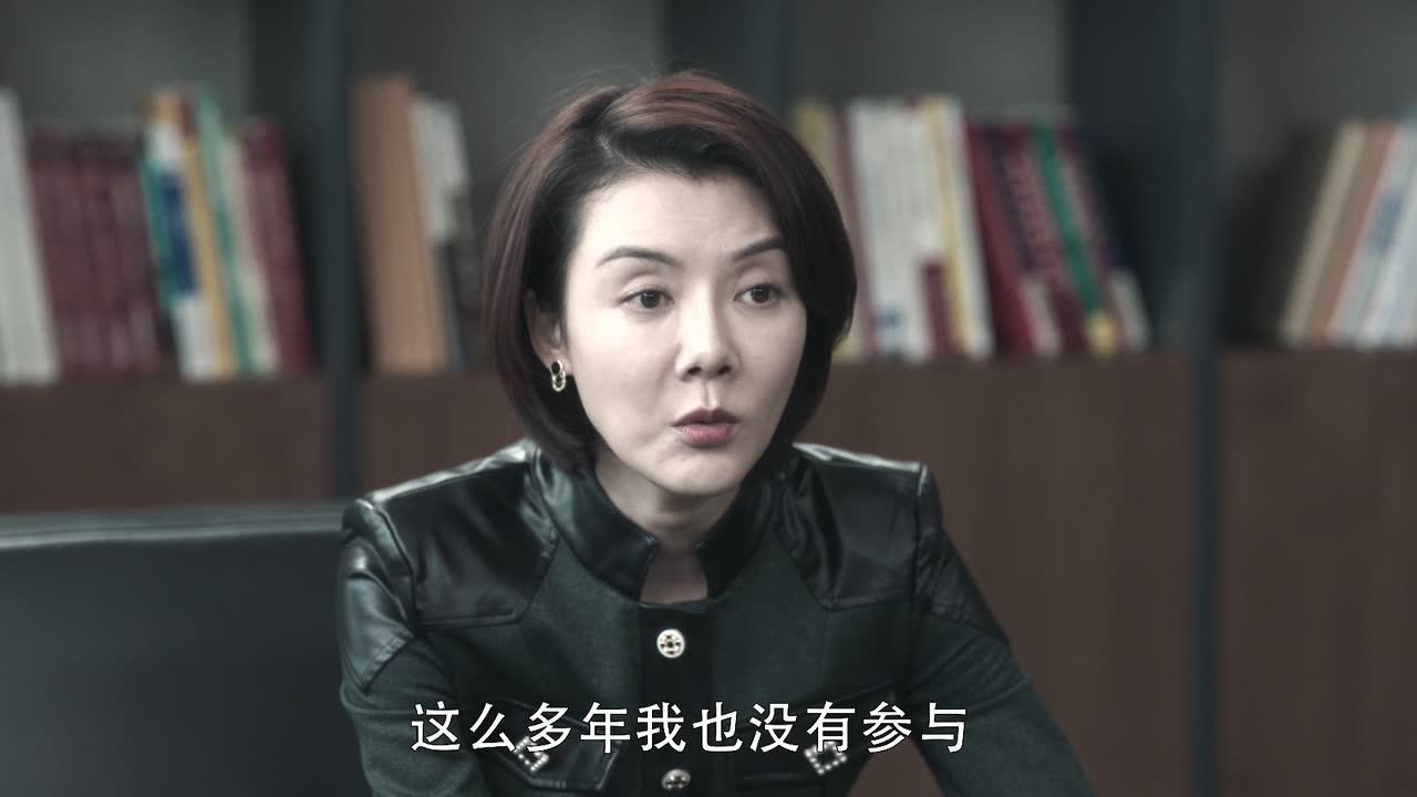 扫黑风暴 12集