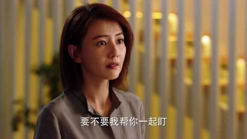 完美伴侣[DVD版] 32集