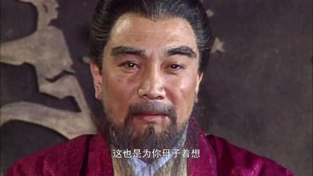 历史巨作三国演义