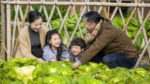 打卡西溪湿地体验“向往的生活”