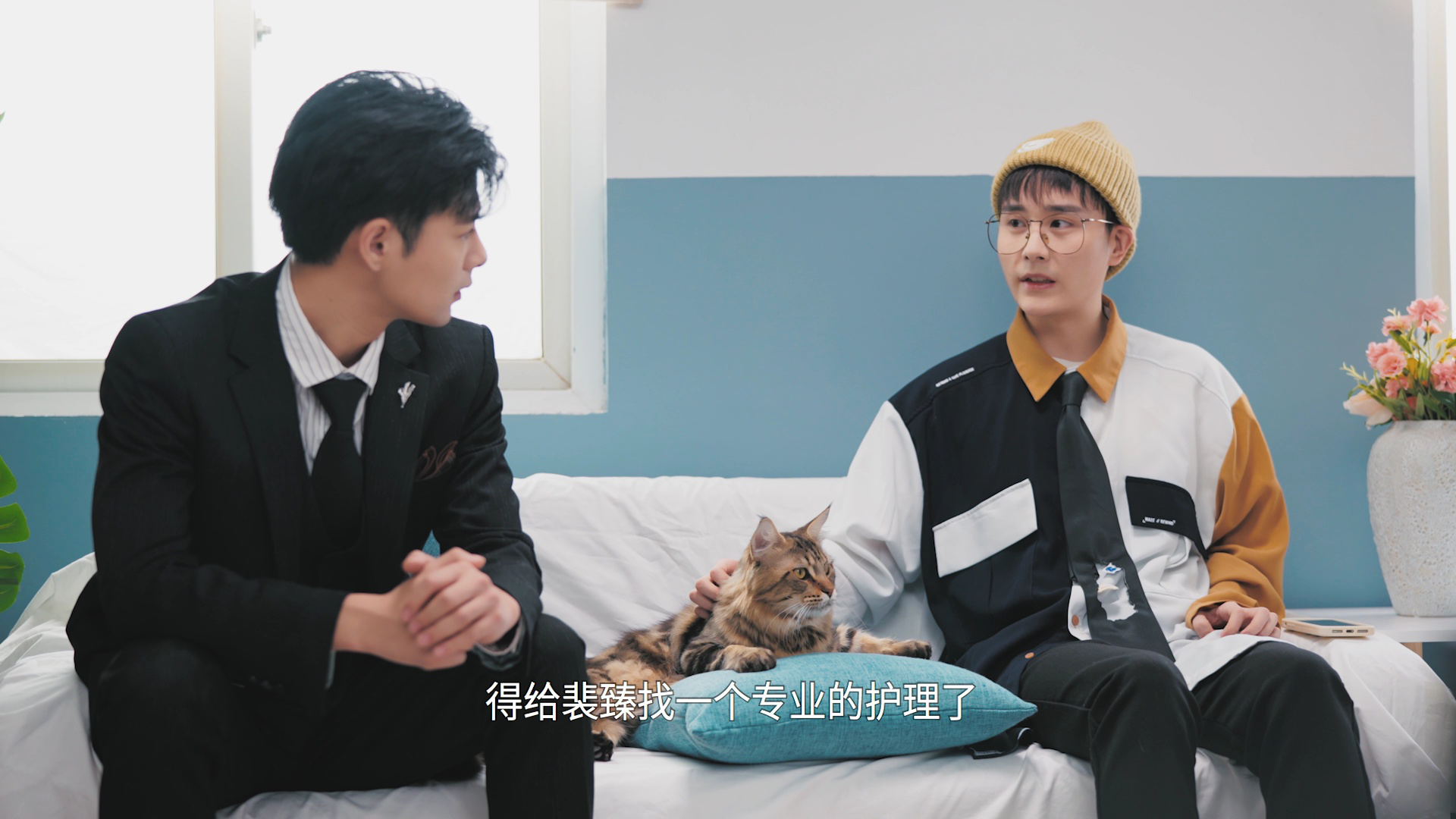 今天也要努力当只猫 3集