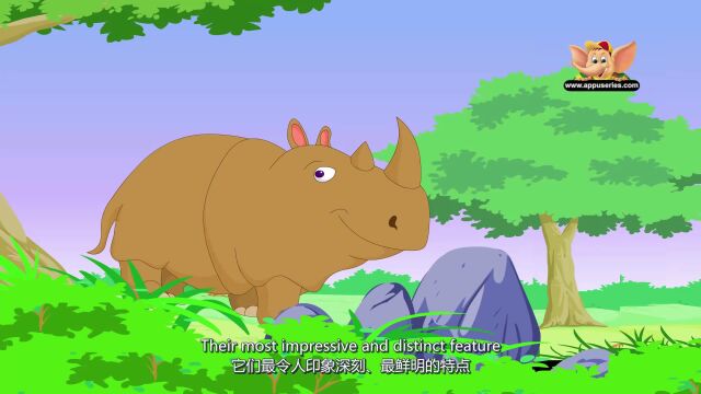 第6集 犀牛 Rhinoceros