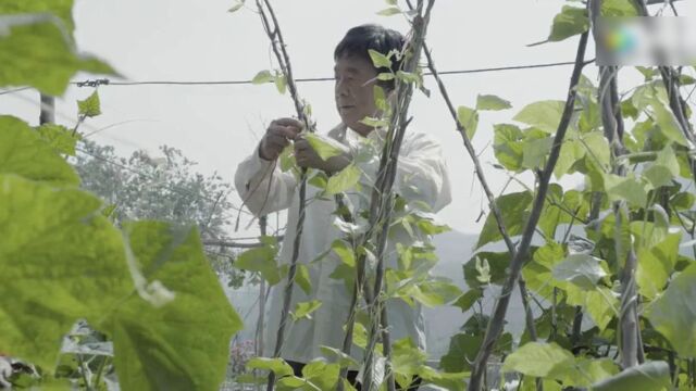 农科院高材生建设家乡