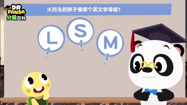 第151集:为什么飞龙蜥蜴能当宠物?(蜥蜴Lizard 舌头Tongue)