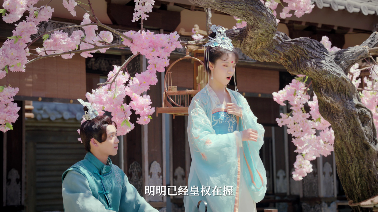 进击的王妃 21集