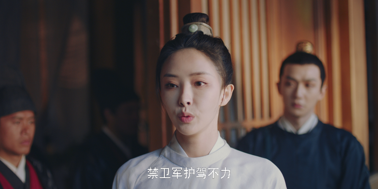 宠妃凰图 14集
