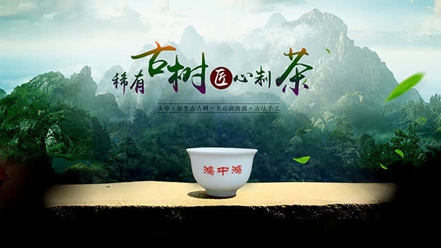 鸿中鸿茶业古树普洱茶文化广告宣传视频