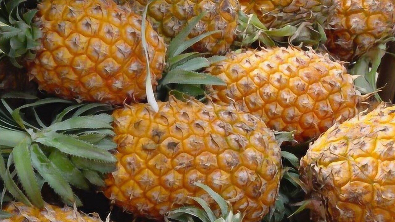 这才是菠萝的正确吃法，给小伙伴们科普一下_高清