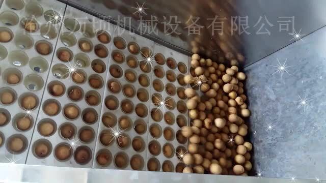 桂圆去核机 龙眼冲核机 去核破壳一体完成