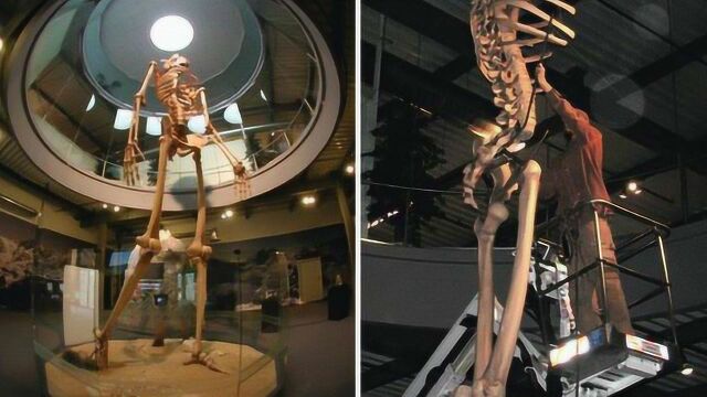 据考究远古巨人真实存在,那又因何而灭绝?