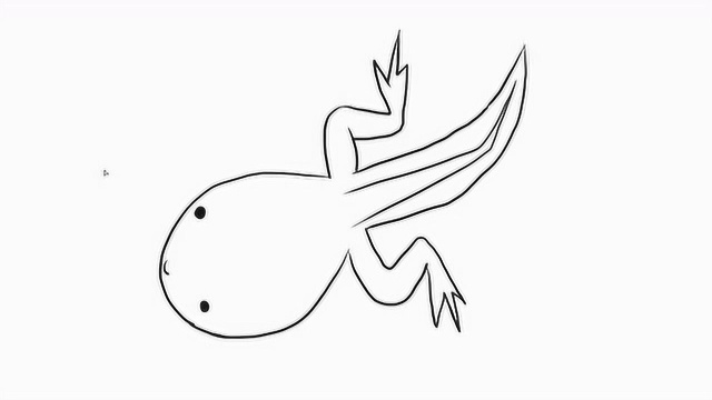 卡通蝌蚪儿童亲子简笔画宝宝轻松学画画