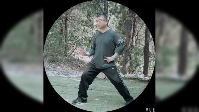 洪传陈式太极拳 正手圈 刘广林