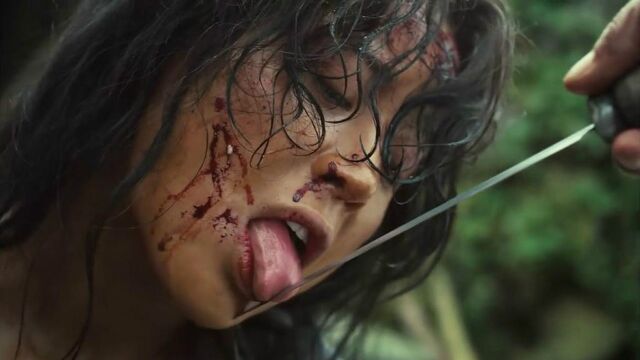 豆瓣84分犀利韩影丈夫对女儿下手老婆怒而屠村杀光一个不剩