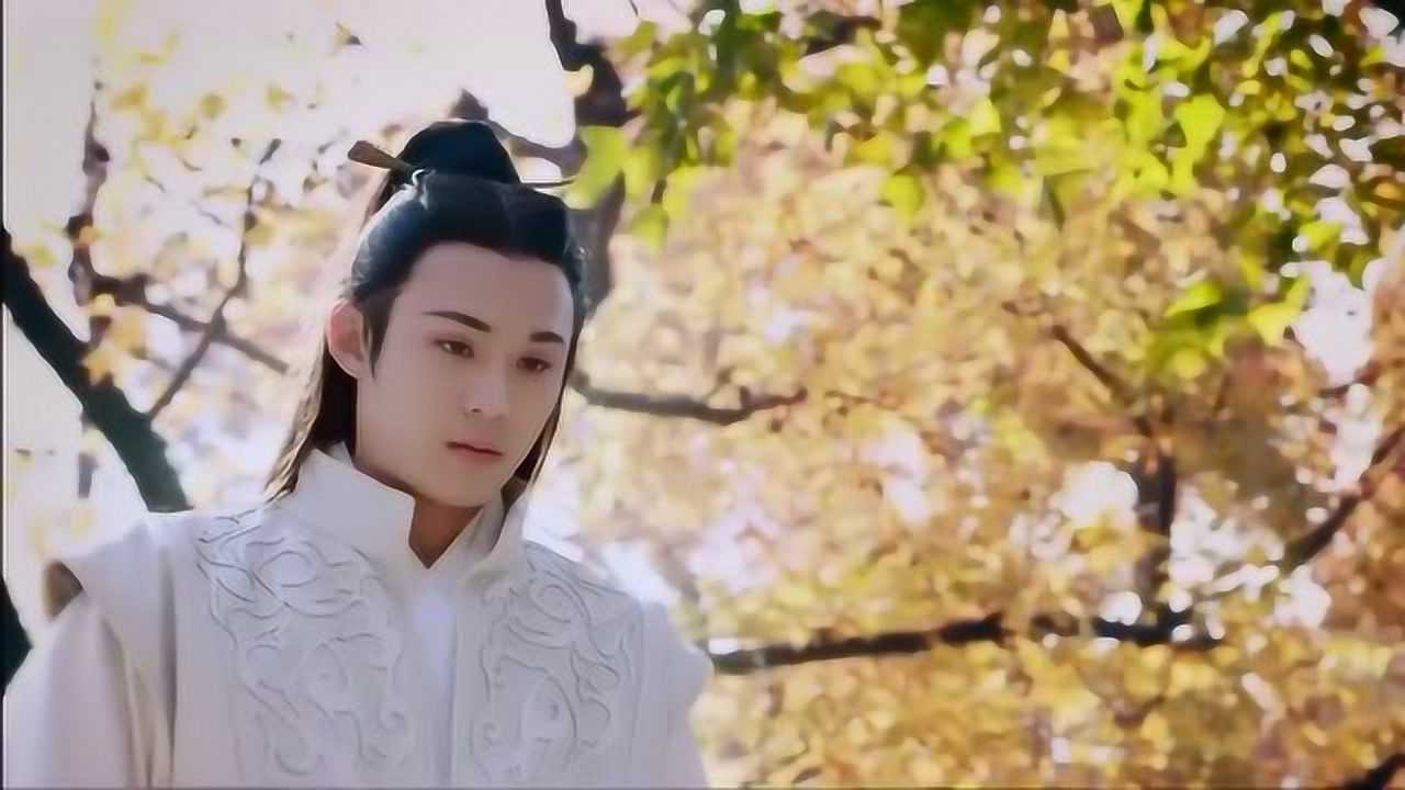 陈奕兰陵王妃高长恭被虐剪辑之番外彩蛋