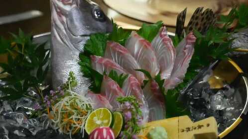 日本料理刀工 胡椒鲷 刺身分解 腾讯视频