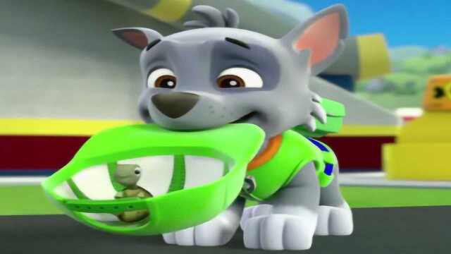 狗狗巡逻队灰灰爱护小动物 汪汪队立大功