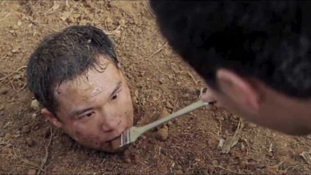 把人埋在土里只露一个头然后再涂点蜂蜜看着真的好恐怖
