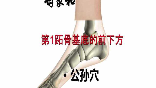 中医艾灸针灸取穴:公孙穴_腾讯视频