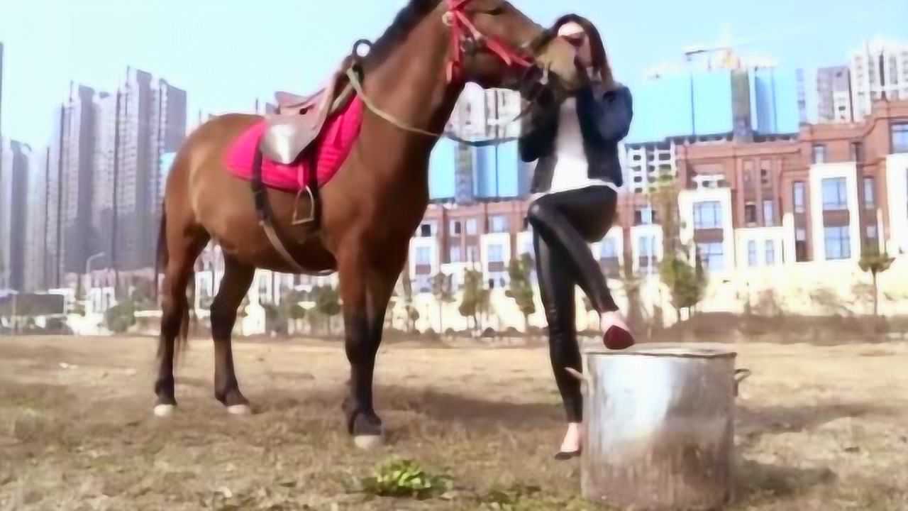 这美女骑马技术真是一流美女好样的_高清