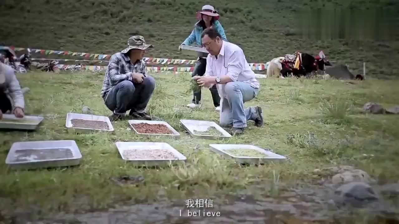 植物学家钟扬逝世援藏16年收集4千万颗种子_高清1080P在线观看平台_腾讯视频
