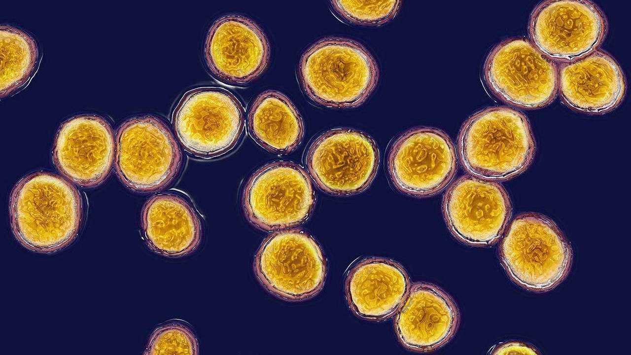 抹布上有多少细菌啊显微镜可以告诉你