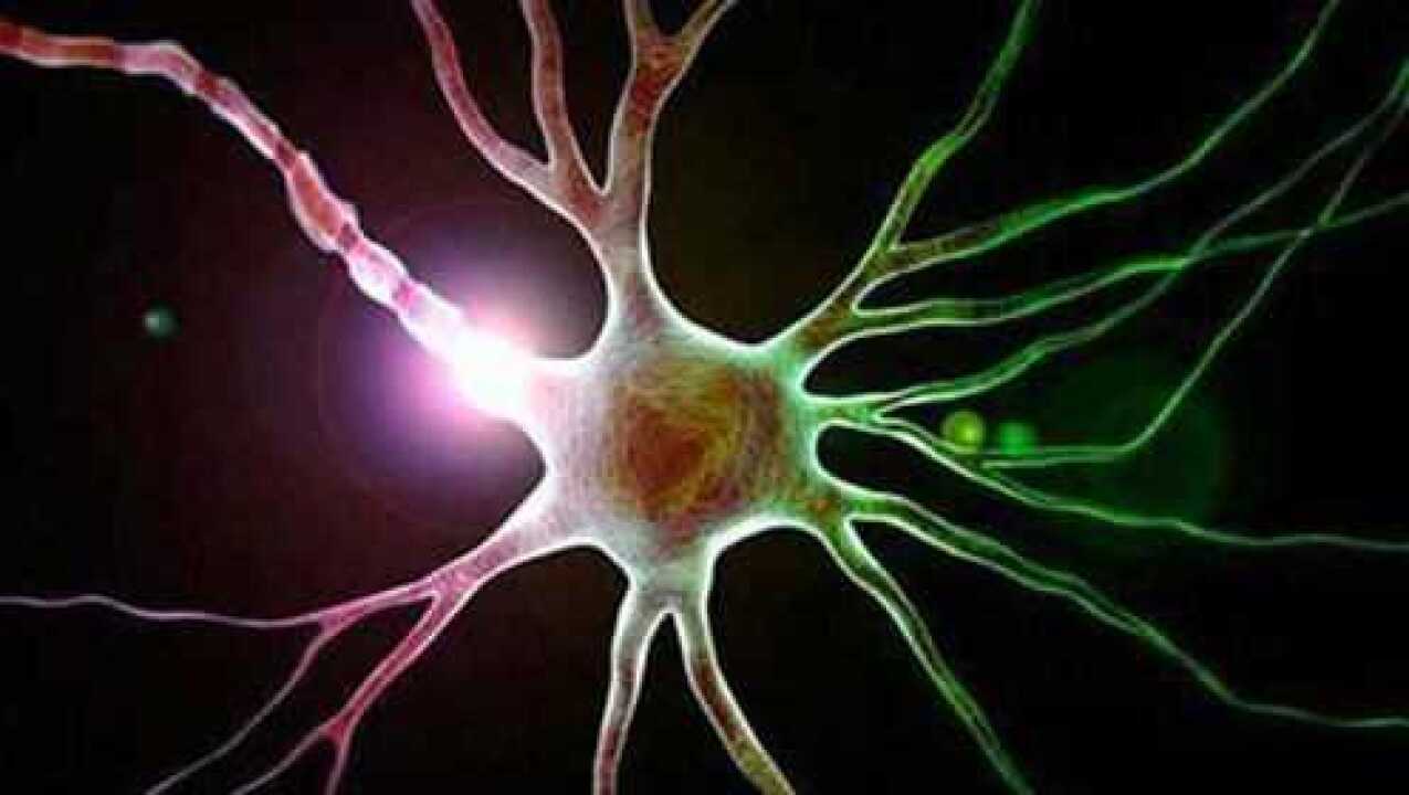 癫痫病是大脑神经异常过度放电引起的患病率仅次于脑卒中