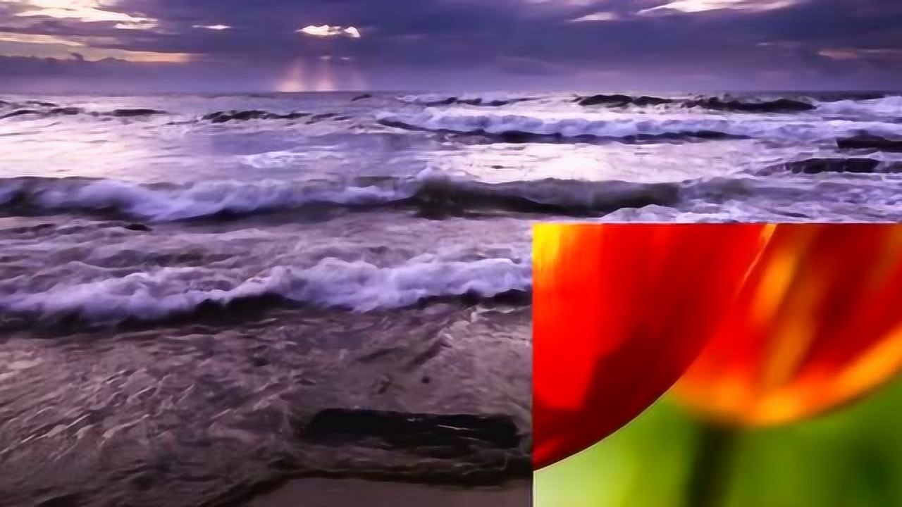 已故名家 陈仁义早期秦腔《下河东 困营》