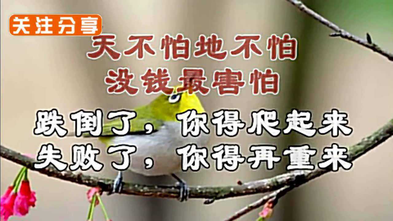 人到中年不如狗不信你看