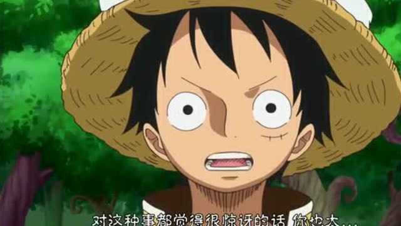 《海贼王》穿衣服的鳄鱼,路飞让娜美无语!